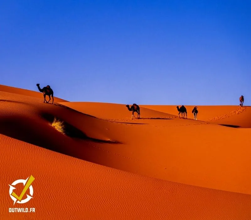 Désert sahara maroc expédition