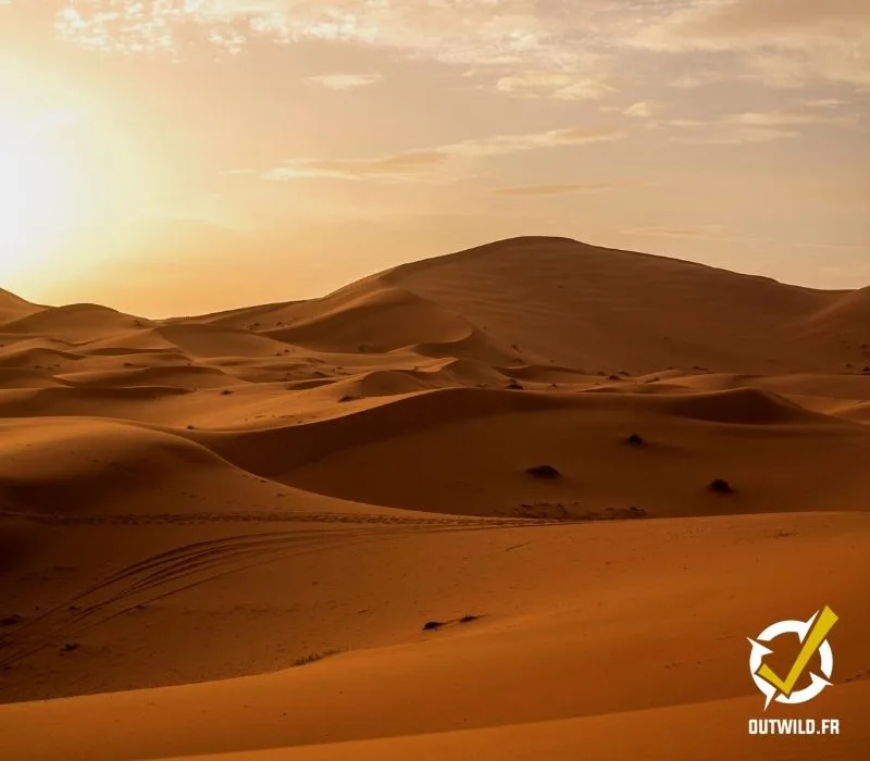 Désert sahara maroc expédition