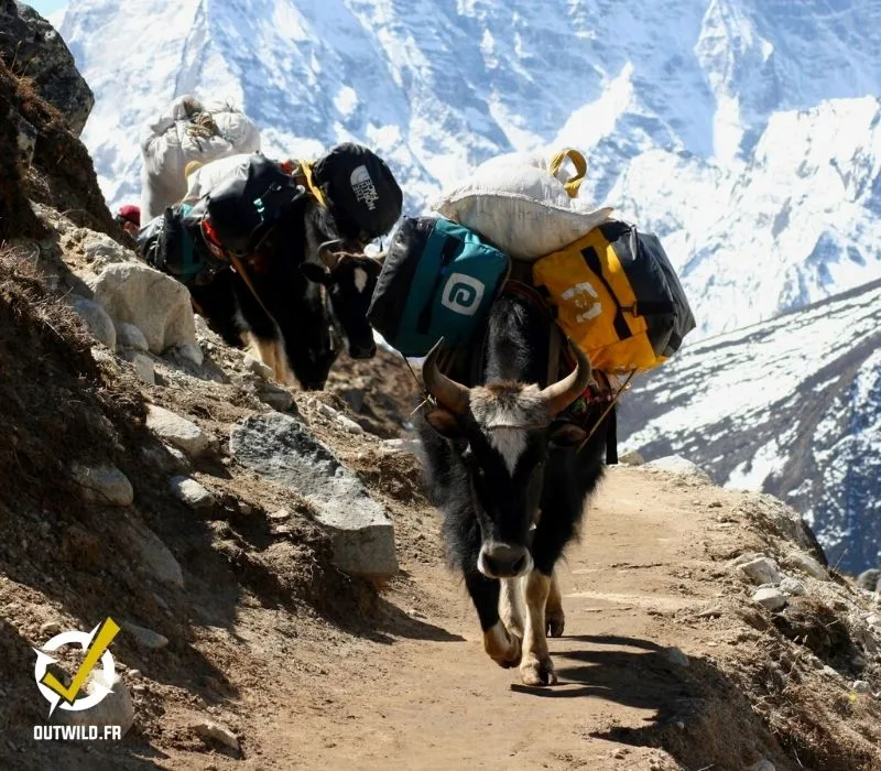 mera-peak-nepal
