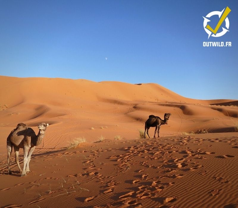trek toubkal maroc désert sahara merzouga