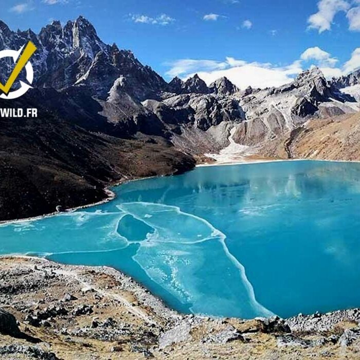 Trekking Du Lac Gokyo Avec Le Trek Cho La Pass (5 420 M)