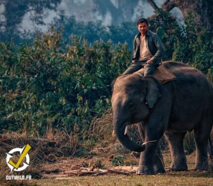 chitwan jungle safari népal