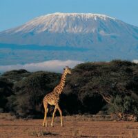 Ascension tanzanie kilimandjaro afrique