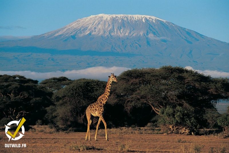 Ascension tanzanie kilimandjaro afrique