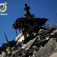 Trekking du Manaslu au Népal - Himalaya – Image 5