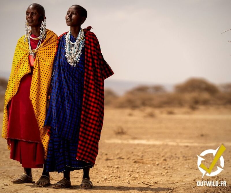 Serengeti tanzanie safari