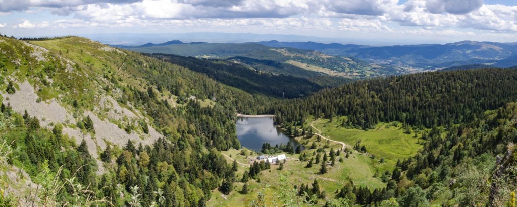 Gazon du Faing France-vosges