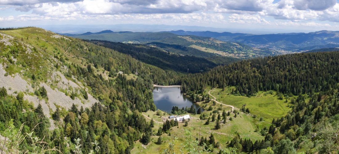 Gazon du Faing France-vosges