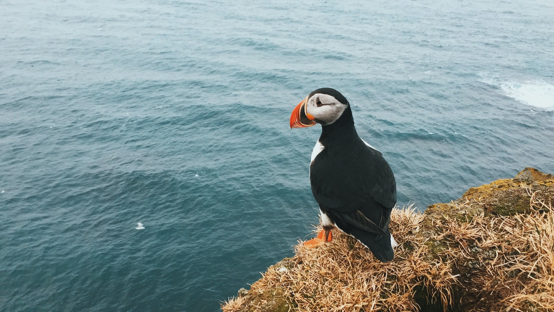 islande tourisme voyage