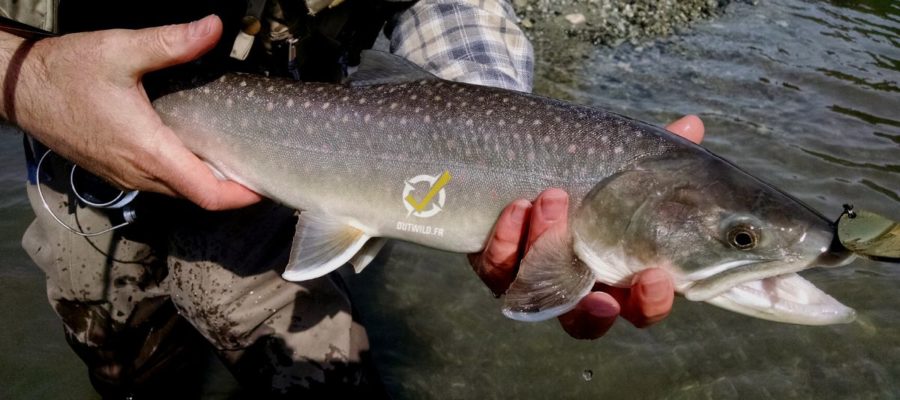 peche monde