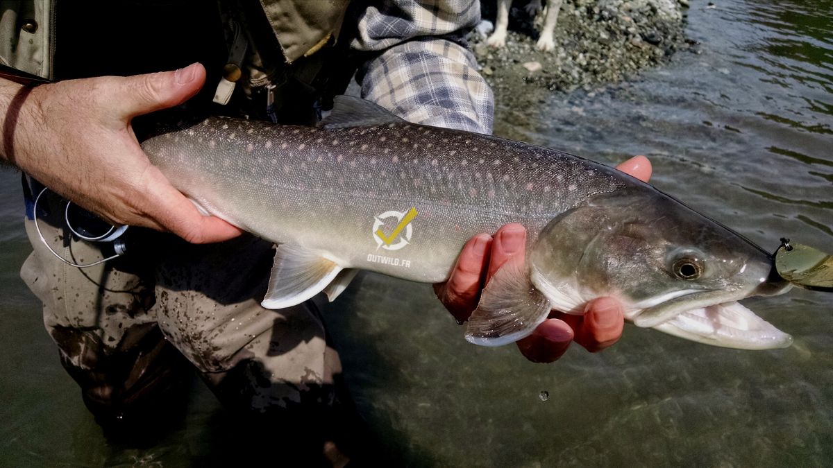 peche monde