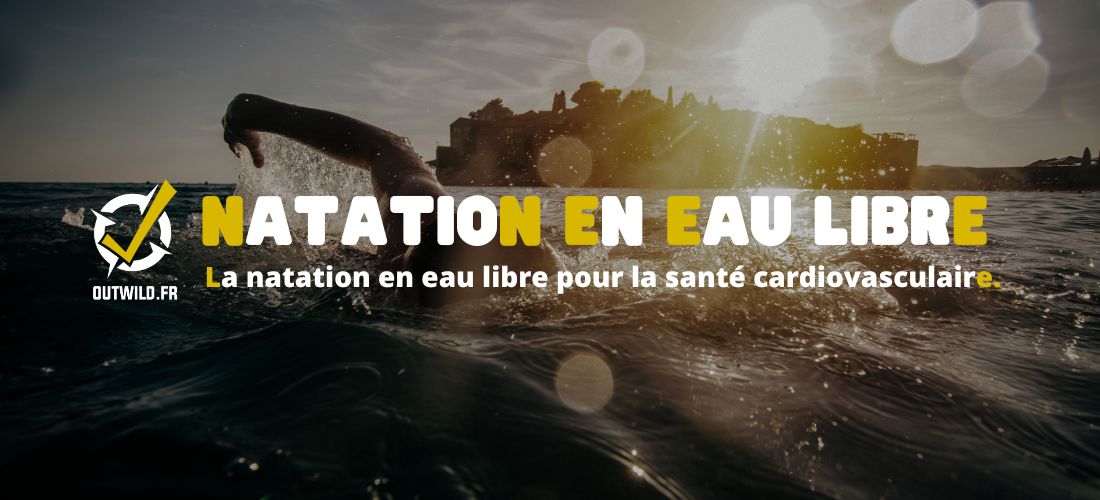 La natation en eau libre pour la santé cardiovasculaire