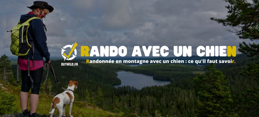 Randonnée en montagne avec un chien : ce qu'il faut savoir.