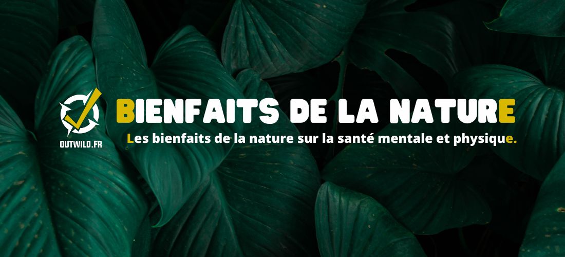 bienfaits de la nature sur la santé