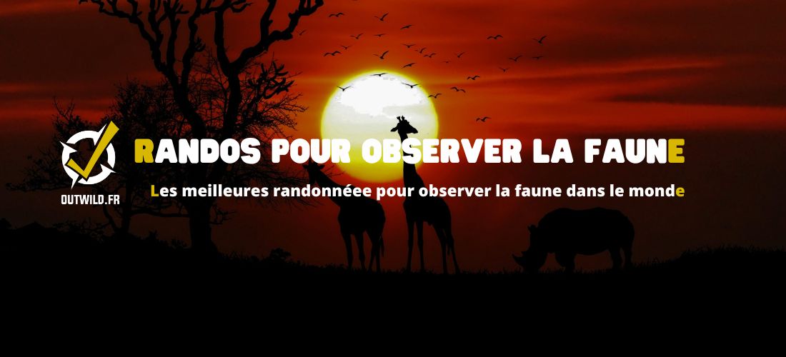 randos pour observer la faune