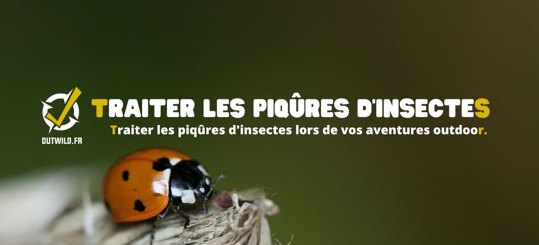 Traiter les piqûres d'insectes