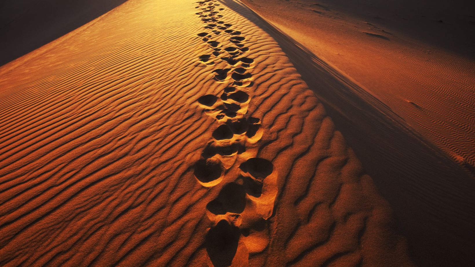 Dakhla au Maroc désert