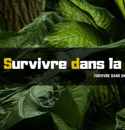 Survivre dans la Jungle