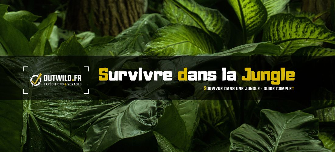 Survivre dans la Jungle