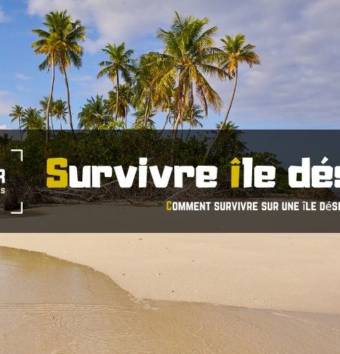 Survivre-ile-deserte