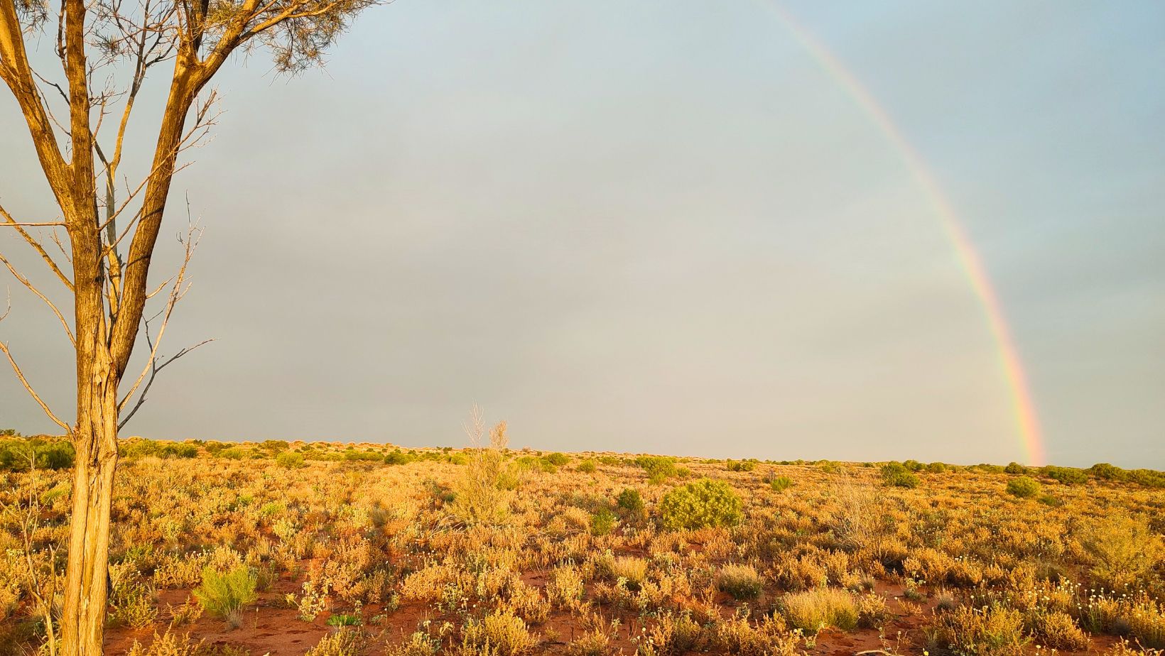 désert de Simpson australie