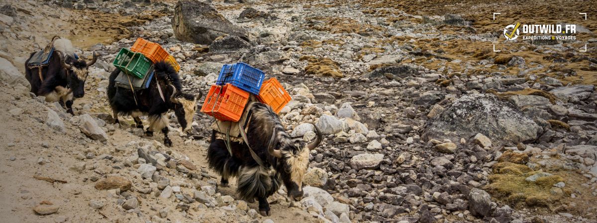 Conseils pour gravir le Lobuche au Népal : guide complet