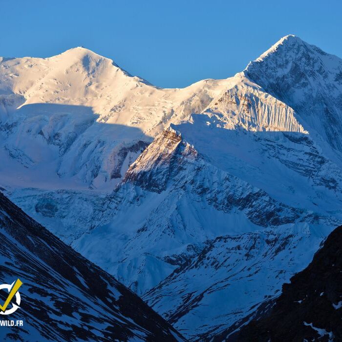 Ascension Chulu Far East (6059m) au Népal