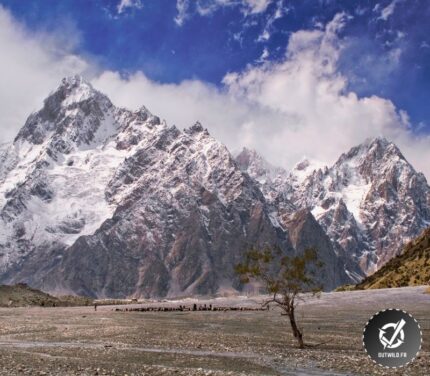 Trek glacier de Batura au Pakistan