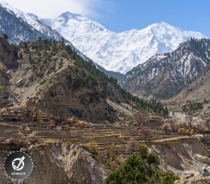Trek Tour du Nanaga Parbat au Pakistan