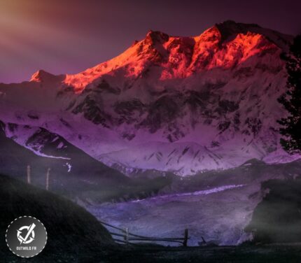 Ascension du Nanga Parbat (8 126 M) au Pakistan