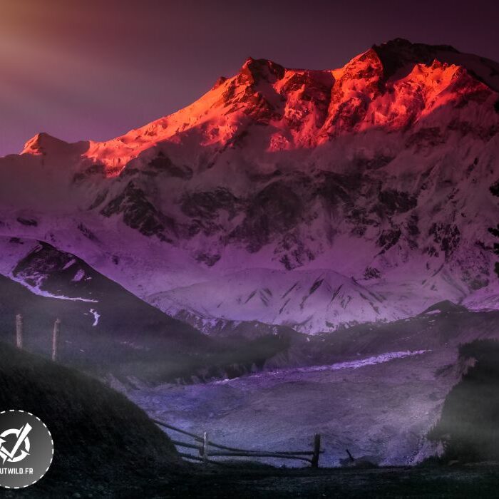 Ascension du Nanga Parbat (8 126 M) au Pakistan