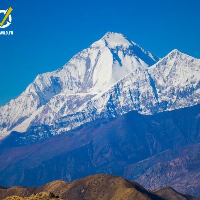 Ascension Thapa Peak (6012m) au Népal