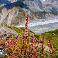 Trek Tour du Nanaga Parbat au Pakistan