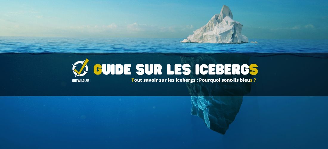 Tout savoir sur les icebergs : Pourquoi sont-ils bleus ?