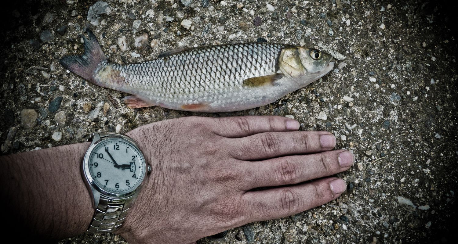 peche survie milieu naturel