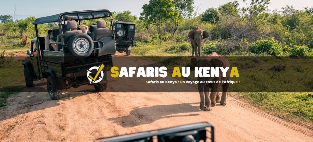 Safaris au Kenya : Un voyage au cœur de l'Afrique !