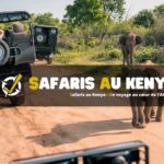 Safaris au Kenya : Un voyage au cœur de l'Afrique !