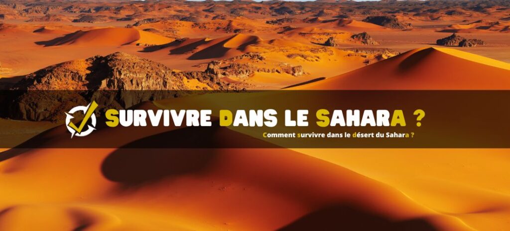 Comment survivre dans le désert du Sahara ?