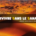 Comment survivre dans le désert du Sahara ?