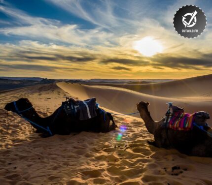 Voyage en famille dans le désert du Sahara - Maroc