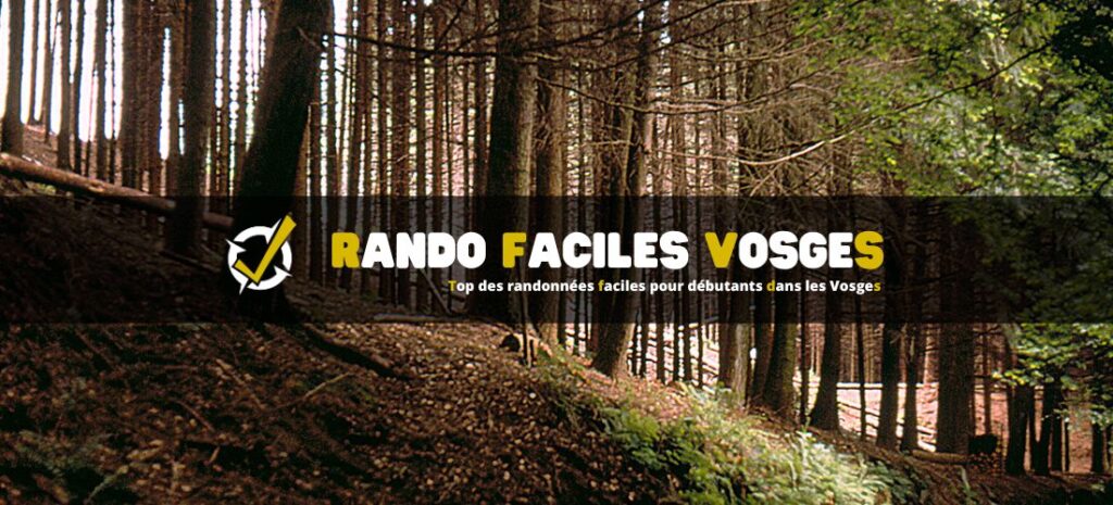 Top des randonnées faciles pour débutants dans les Vosges