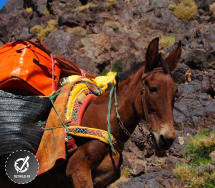 Tour ascension du Toubkal lac Ifni au Maroc