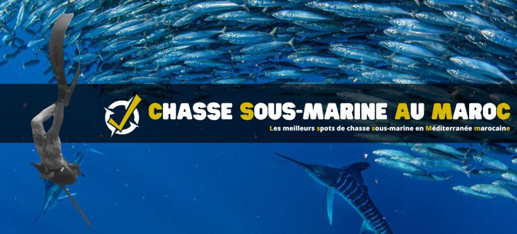 Les meilleurs spots de chasse sous-marine en Méditerranée marocaine