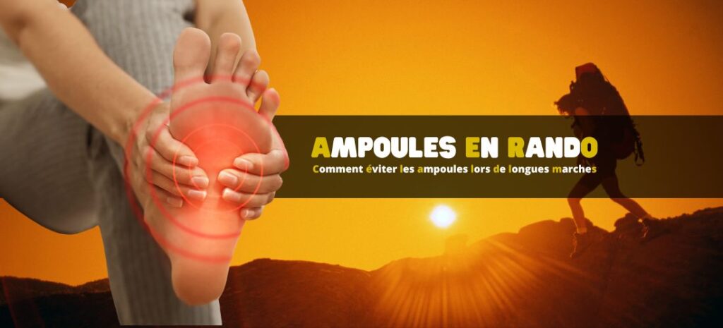 Capital Sports Nicetouch Gants Pour Le Sport XL Simili Cuir Bleu | XL