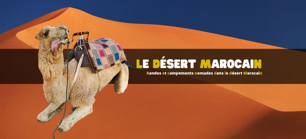 Randonnées et campements nomades dans le désert Marocain