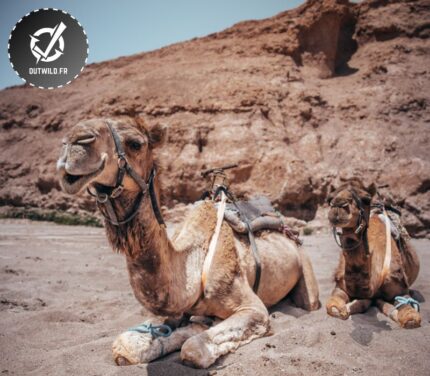 Sahara Maroc - 6 jours au sud de M'Hamid