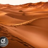 Trekking désert Sahara Maroc [ 4 Jours de marche ]