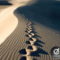 Trekking désert Sahara Maroc [ 4 Jours de marche ]