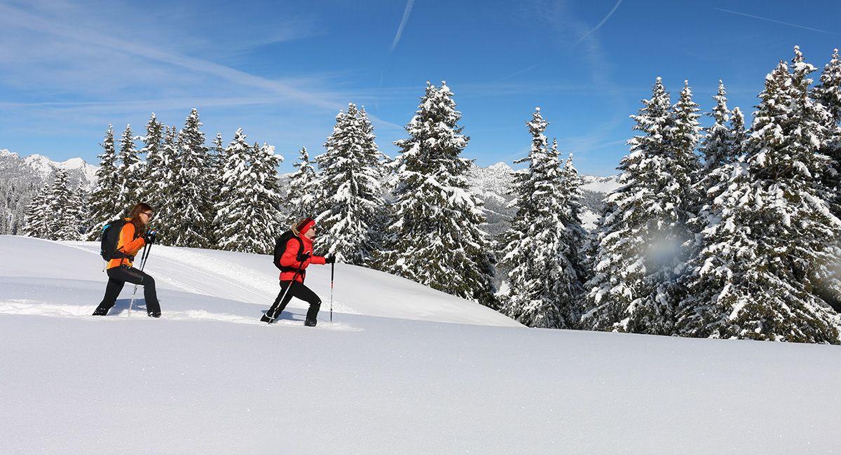 Comment se préparer pour une sortie en raquettes à neige par temps froid ?