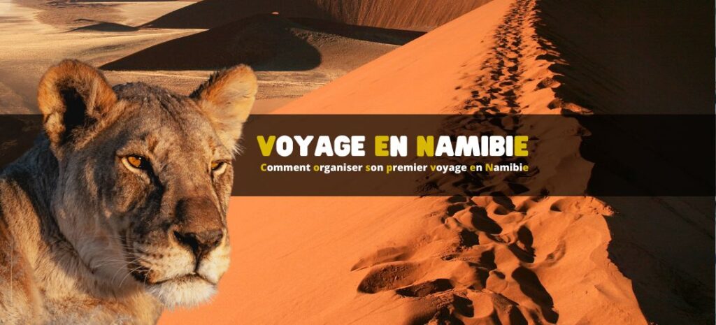 Comment organiser son premier voyage en Namibie